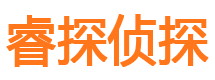 临武市侦探调查公司